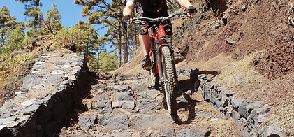 Mountainbike .png