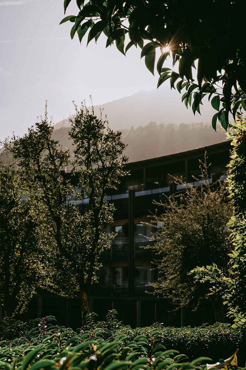 32BDA4C1-684B-451A-B46B-9D708BE4896C-63654-000014412FC9DE6E 2