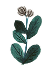 2112_Le-jour-ou_dp-9-4.png