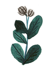 2112_Le-jour-ou_dp-9-4.png