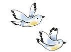 oiseaux.png
