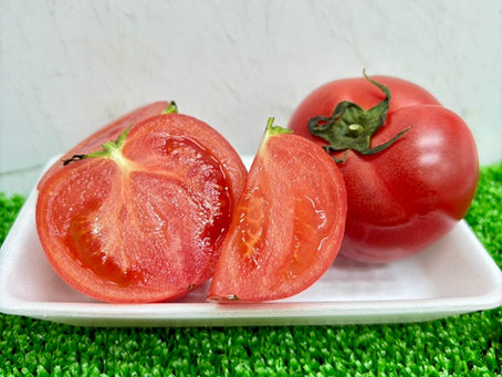 今が旬!甘くておいしいフルーツトマト🍅