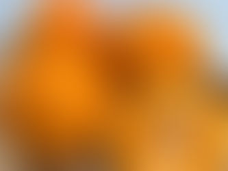 🍊今が旬!甘みと酸味のバランスが絶妙「不知火(しらぬい)」のご紹介🍊