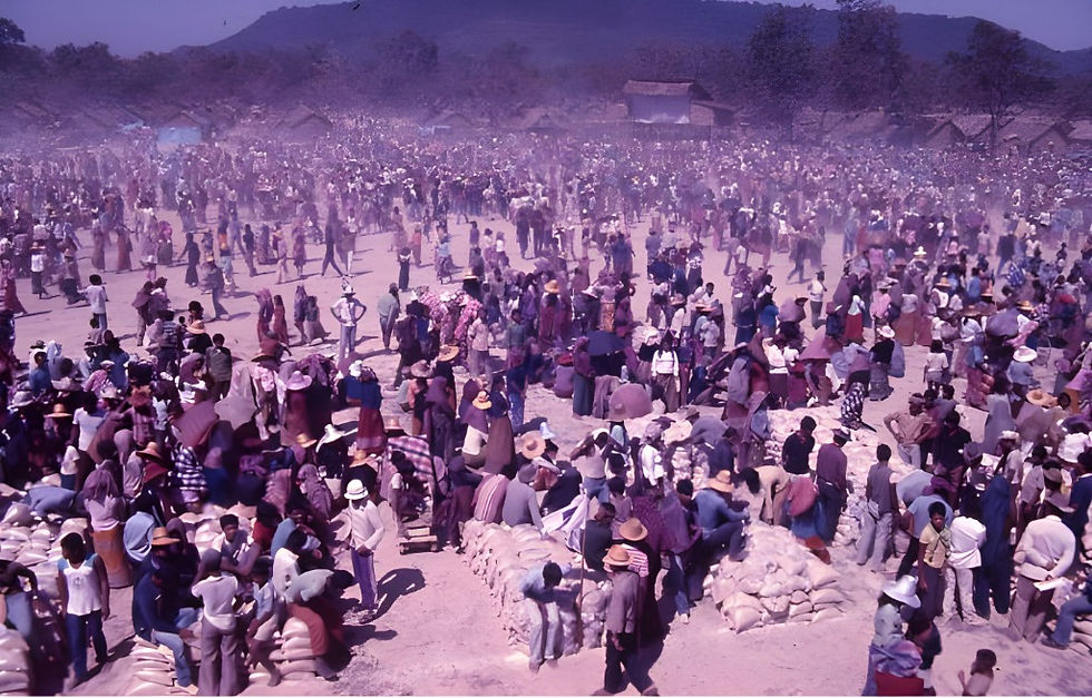 En avril 1975, le régime des Khmers rouges s’emparait du Cambodge, plongeant le pays dans quatre années d'une terreur absolue et d’un génocide sans précédent. La chute de Phnom Penh fut suivie par une politique de terreur, de famine organisée, de travaux forcés, d’exécutions massives et de déplacements forcés. 