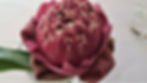 Lotus flower with folded petals (Photo: P. Médeville)