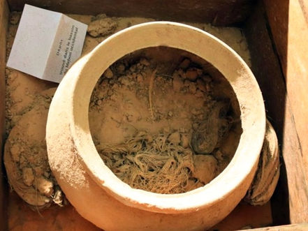 Archéologie : l'École française d'Extrême-Orient confie ses découvertes à l'Autorité APSARA