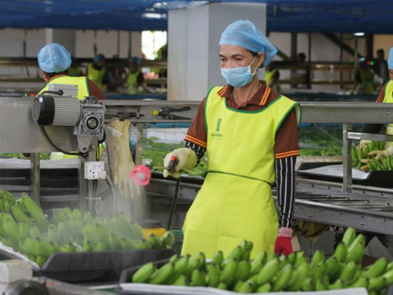 Économie & Agriculture : Belles performances du Royaume qui engrange 3,7 milliards $ de ventes