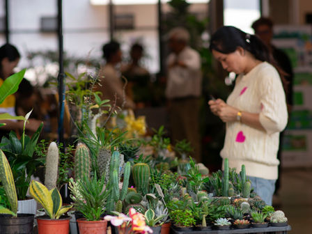 On March 14 and 15, 2026, the Friends Futures Factory (F3) in Phnom Penh was adorned with lush greenery. This Urban Jungle Bazaar – or Plant & Lifestyle Bazaar – dedicated to indoor plants, decoration, and green living, took over this creative hub in the heart of the city, drawing enthusiasts and beginners alike into an aesthetic and convivial immersion.