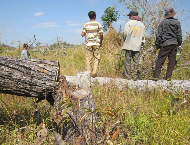 cambodia-ratanakiri-logging-feb-2014.jpg