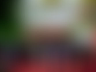 13e Festival international du film du Cambodge : Émotion et enthousiasme avec le souvenir de Sisamouth