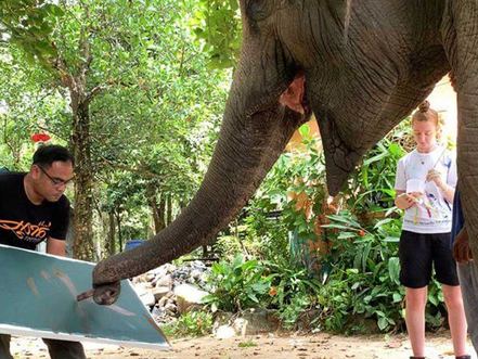 Arts & Nature : Lucky, « la version éléphantesque de Picasso »