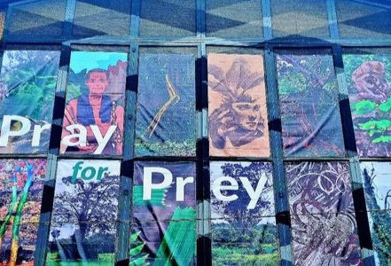Phnom Penh & Exposition collective : « Pray for Prey » encourage l'harmonie avec la nature