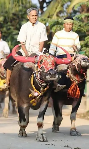 Pchum Ben (បុណ្យភ្ជុំបិណ្ឌ) ou Fête des Ancêtres sera célébrée dans le Royaume du 31 au 23 septembre 2025. Appelée Fête des Morts ou Toussaint cambodgienne par les Occidentaux, Pchum Ben est bien plus que cela pour les Cambodgiens.