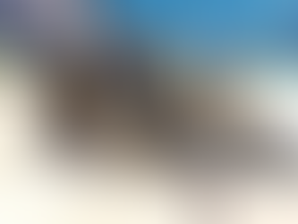 Siem Reap : La restauration de la digue nord d'Angkor Wat sera achevée à la fin de cette année