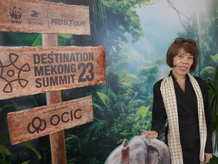 Emblématique à la fois d'un riche patrimoine et d'une modernité en pleine évolution, l'industrie touristique cambodgienne se trouve à un tournant décisif. En tant que présidente du comité Tourisme et Hôtellerie de l'EuroCham et fondatrice et PDG visionnaire de Millennium Destinations, Catherine apporte une solide expérience et une perspective rafraîchissante ancrée dans la durabilité et l'inclusivité. Catherine Germier-Hamel