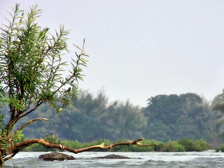 Ratanakiri & Environnement : Le Royaume-Uni finance le projet de parc de Virachey