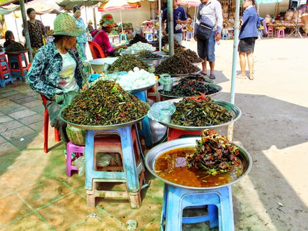 Cambodge & Destination : Skuon, marché des insectes