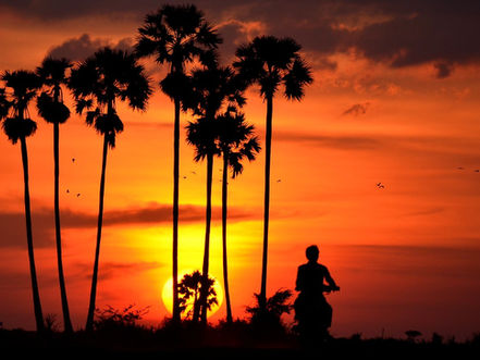 Dans le cadre d'une initiative en faveur de la gestion responsable de l'environnement et du développement durable, le Cambodge se prépare à accueillir l'exposition historique « Green Sprout » ainsi que l'ambitieuse campagne de plantation d'un million de palmiers en 2025.