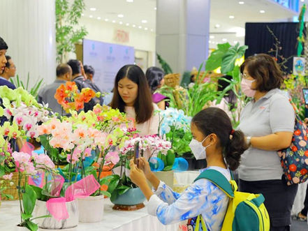 Phnom Penh : Une exposition d'orchidées qui attire l'attention du public