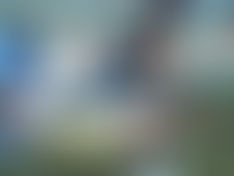 Au fond des eaux brunes du Mékong, une ombre immense se fait de plus en plus rare. Le Pangasianodon gigas, grand poisson-chat géant du Mékong, est une espèce migratrice de grande taille endémique du bassin du Mékong. En raison de son déclin et du rétrécissement de son aire de distribution, il figure désormais sur la Liste rouge de l'UICN comme « en danger critique d'extinction ».