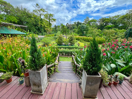 Cambodge & Tourisme : Le Jardin Botanique d'Angkor récompensé par les Travellers' Choice Awards