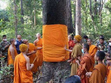 Environnement : Une campagne « un dollar » pour protéger la forêt de Sorng Rukhavorn