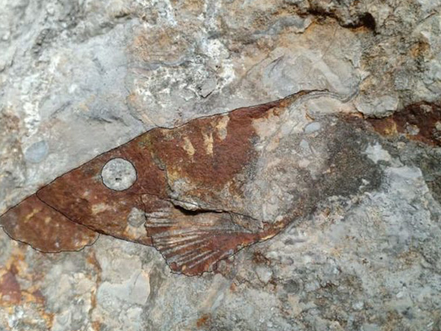 Cambodge & Archéologie : Des découvertes précieuses dans de nombreuses provinces