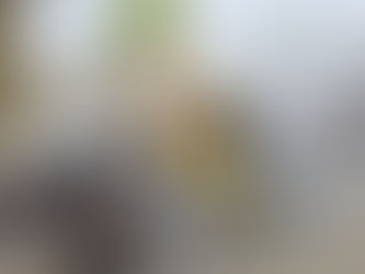 Initiative & Siem Reap : Plus de 27 tonnes de déchets retirées de la rivière Siem Reap