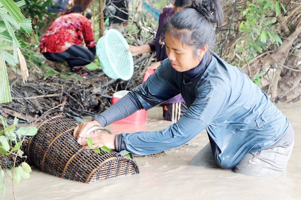 Pêche traditionnelle avec une petite nasse