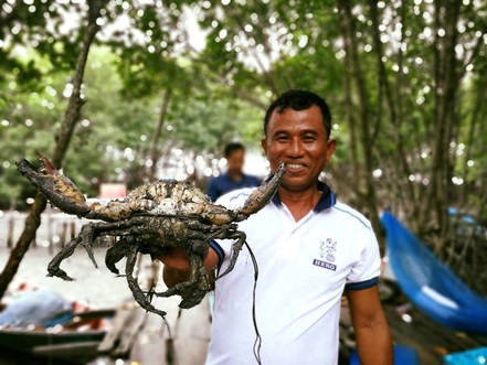 News: Koh Kong mud crab to be registered as Cambodia’s GI product in the near future