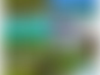 Pour un weekend prolongé, nous décidons de découvrir Koh Rong Sanloem, l’une des dernières îles cambodgiennes du golfe de Thaïlande que nous n’avons pas encore visitées. On en entend beaucoup de bien, notamment pour la qualité de ses plages, la pureté de l’eau et la beauté des paysages.