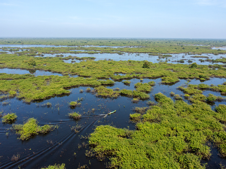 Le Tonlé Sap, situé au Cambodge, est le plus grand lac d’eau douce d’Asie du Sud-Est et une réserve de biosphère reconnue par l’UNESCO. Son niveau varie considérablement au rythme des saisons : il s’étend durant la saison des pluies, soutenant une biodiversité exceptionnelle, puis se rétracte en saison sèche, fournissant des ressources vitales à des millions d’habitants. 