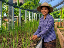 Une tournée de presse organisée dans les provinces de Siem Reap et Kampong Thom, du 24 au 26 avril 2026, a mis en lumière la transition agroécologique à l'œuvre dans les communautés agricoles cambodgiennes.