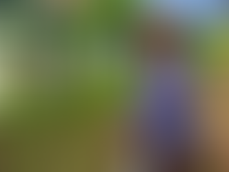 Une tournée de presse organisée dans les provinces de Siem Reap et Kampong Thom, du 24 au 26 avril 2026, a mis en lumière la transition agroécologique à l'œuvre dans les communautés agricoles cambodgiennes.