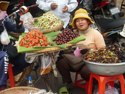 L’étude « Cambodia’s Tourism Insights Study 2024 » publiée sous l’égide du programme ICONE de la GIZ offre un panorama approfondi et pertinent du secteur touristique cambodgien, en pleine mutation.