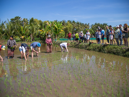 The Kingdom comes ahead of Laos, Thailand and Malaysia in a ranking by the American magazine U.S. News & World Report. Placed 17th worldwide, Cambodia sees its authorities welcome a distinction that highlights its network of protected areas.