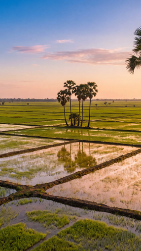 Deux signatures ont suffi à officialiser ce que le secteur attendait depuis plusieurs mois : un accord de coopération stratégique entre AirAsia Cambodia et le Cambodia Tourism Board (CTB). D'un côté, Nam Vissoth, directeur général d'AirAsia Cambodia. 