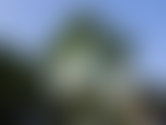 Entre héritage industriel et farniente suspendu, l’ancien château d’eau de Koh Pich entame une seconde vie. Vannak et moi avons testé pour vous ce "perchoir" atypique : une immersion en duplex entre le ciel et le Mékong, où la rigueur du métal rencontre la douceur d'un coucher de soleil.