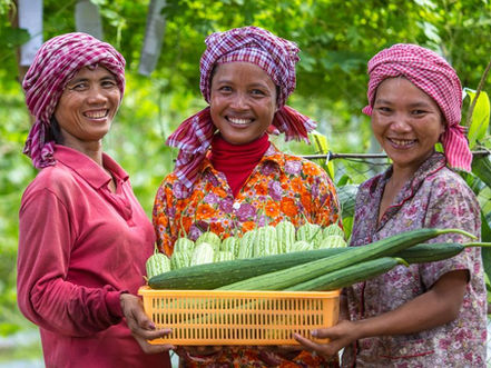 The latest Asian Development Outlook (ADO), published in September 2025 by the Asian Development Bank (ADB), paints a nuanced picture of Cambodia's economic trajectory, oscillating between notable resilience and growing risks that require vigilance and adaptation.