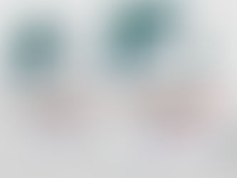 EuroCham & Économie : Les points essentiels concernant la nouvelle Loi sur l’Investissement