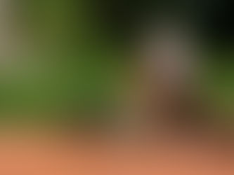 Siem Reap & Sofitel Angkor : Destination Luxe pour les fêtes de fin d’année