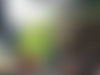 Nature: 1st successful elephant tusk extraction surgery at Kulen Elephant Forest