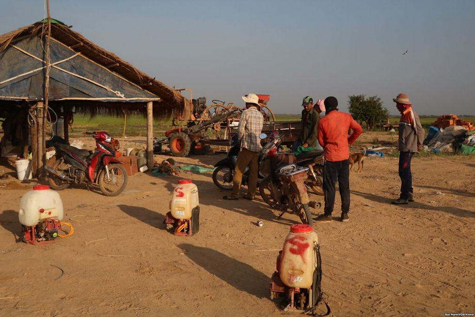les ouvriers se préparent à pulvériser des pesticides dans la rizière de la province de Kampong Thom,