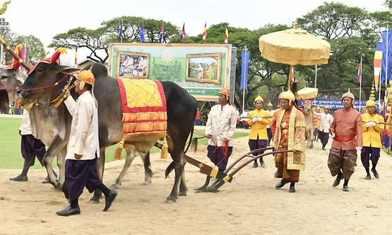 En ce mardi 5 mai 2026, le Cambodge s'arrête pour célébrer l'une de ses traditions les plus sacrées : la Cérémonie Royale du Sillon Sacré, connue en khmer sous le nom de Preăh Réach Pĭthi Chrát Preăh Neăngkoăl (ព្រះរាជពិធីច្រត់ព្រះនង្គ័ល).