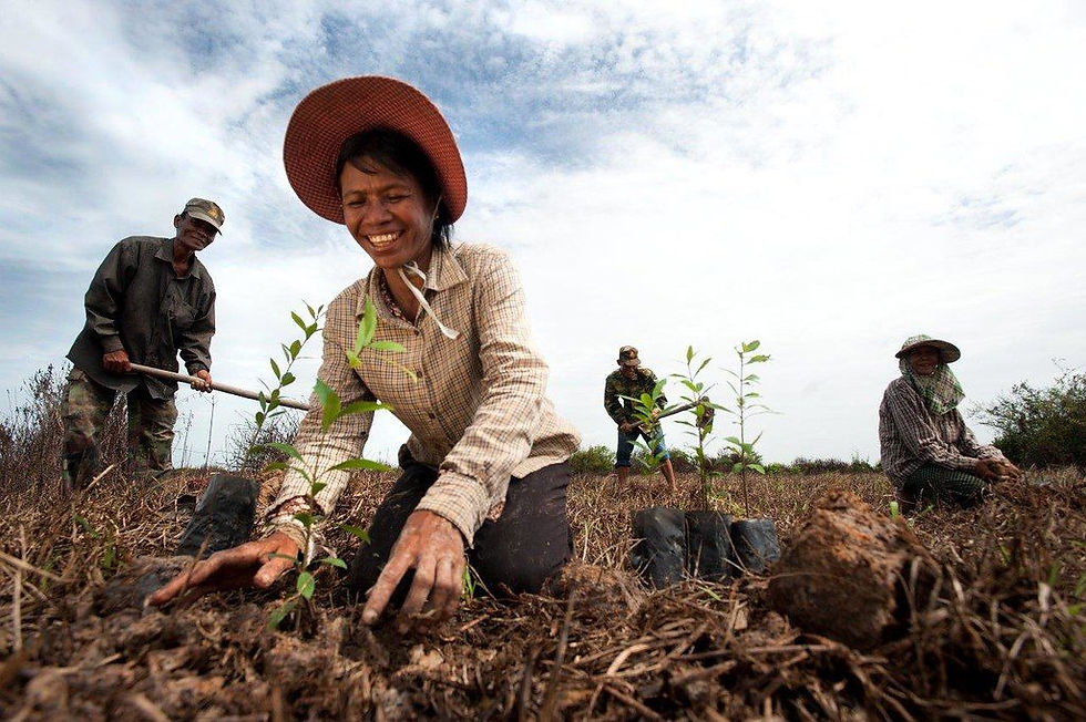 Agriculture au Cambodge. Photographie Usaid (cc)