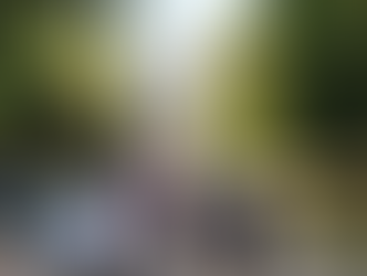 L'Autorité nationale APSARA redouble d'efforts pour enrichir l'expérience des visiteurs au site d'Angkor. En développant de nouveaux circuits de temples et produits touristiques innovants, elle vise à inciter les touristes nationaux et internationaux à prolonger leur séjour dans cette merveille classée au patrimoine mondial de l'UNESCO.