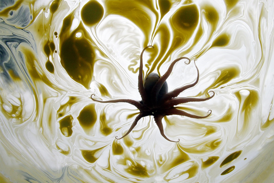Mak Remissa, Water is Life, 2009