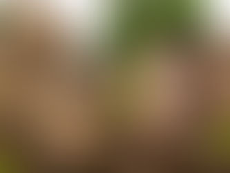 Destination & Archive : Phnom Chisor, de terre et d’eau