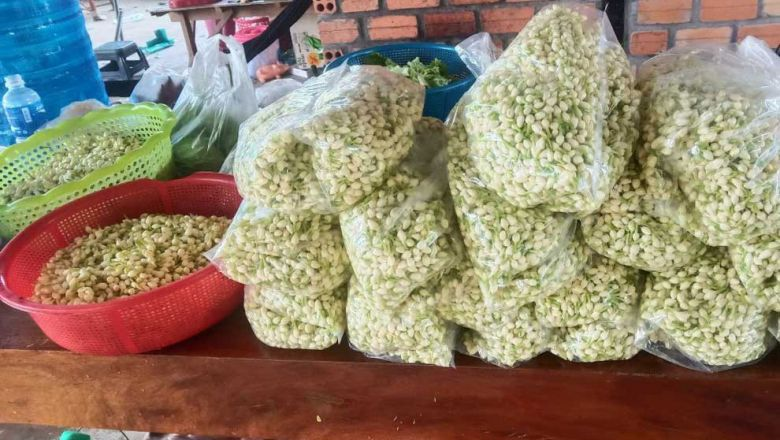 Le jasmin de Phaok Samrorng mis en sac et prêt à être vendu. Photo fournie