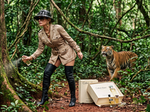 Chronique d'une expédition de conservation dans le nord-est du Cambodge, où la science a parfois cédé le pas au marketing olfactif. Histoire vraie — les noms ont été changés pour préserver l'anonymat (et la dignité) des personnes concernées.